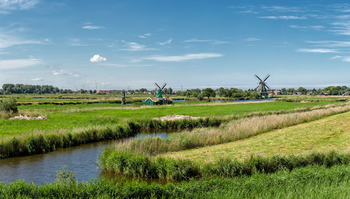 De Jonge Dirk