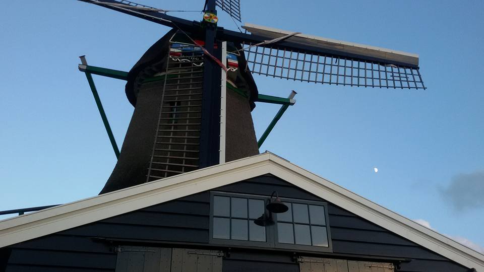 Het Jonge Schaap
