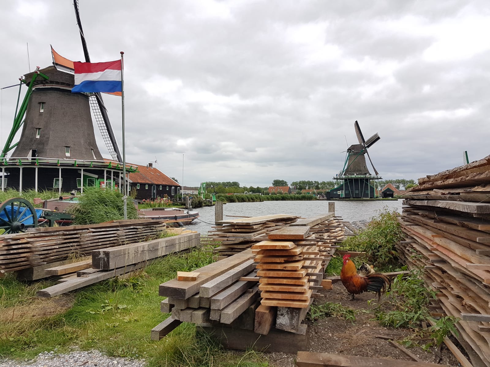 Het Jonge Schaap