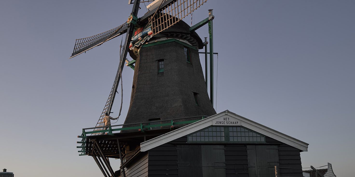 HetJongeSChaap