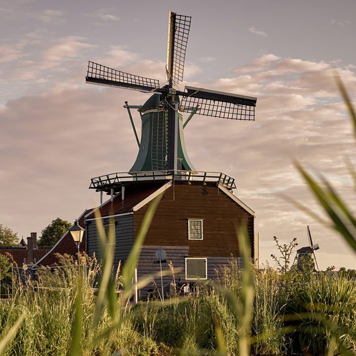 CF050488-2-e1592386364183