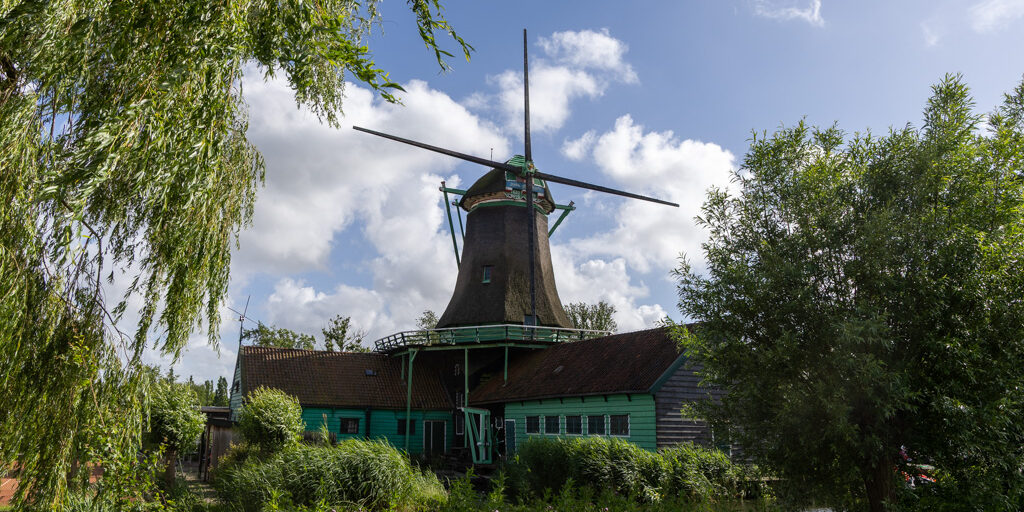Pink roeden kaal